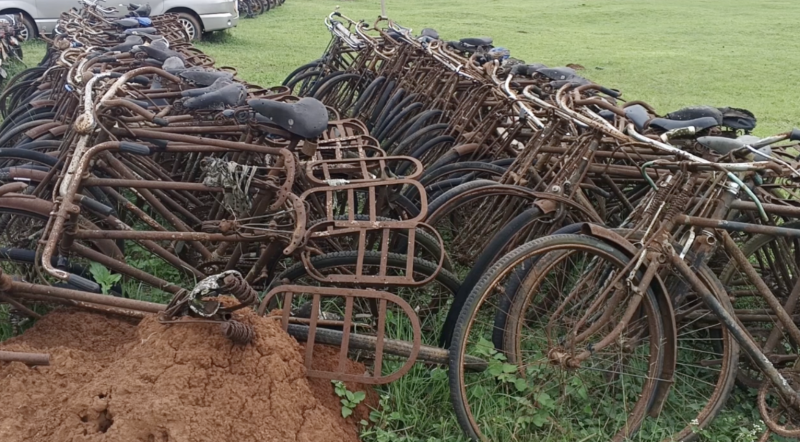 Impounded bicycles from illegal fish trade